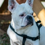 Программы лояльности казино без депозита - предусмотрительный выбор