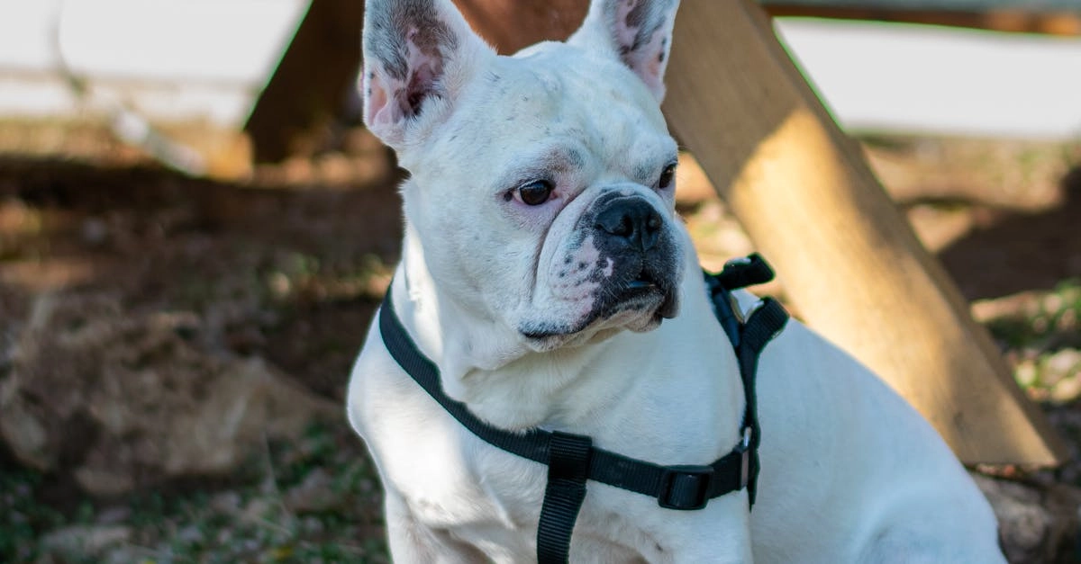 Программы лояльности казино без депозита - предусмотрительный выбор