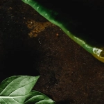 Слот игра Hot Chilli с мексиканской тематикой и символами перца чили